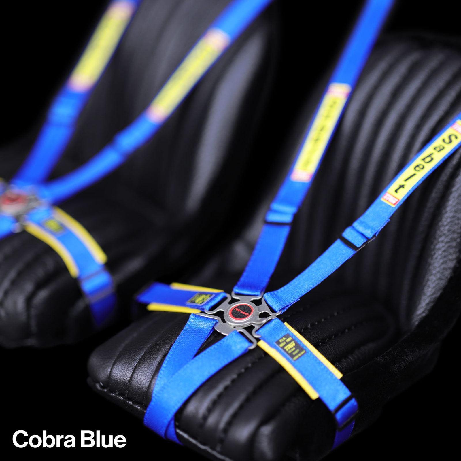 Cobra Blue Sabelt Harness for Ferrari F40 model