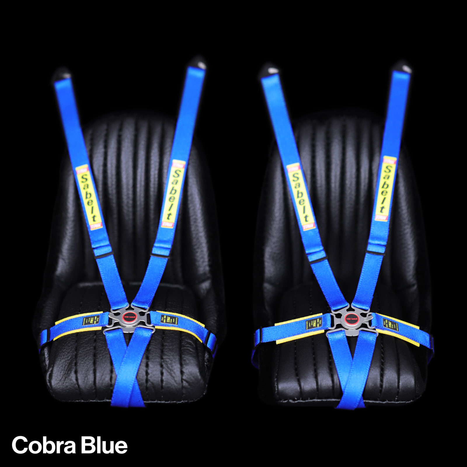 Cobra Blue Sabelt Harness mod